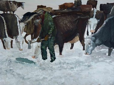 Getting Cows a Drink