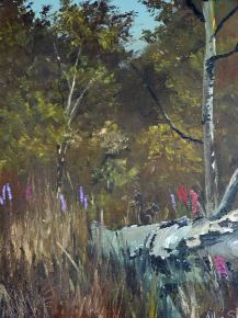Scène de forêt 