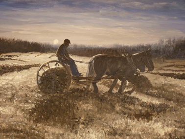 Raking Hay
