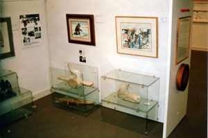 Visite La vraie Galerie Allen Sapp